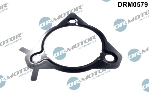 Dr.Motor Automotive DRM0579 Seal, injection pump