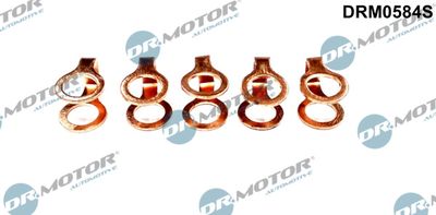 Seal, fuel line Dr.Motor Automotive DRM0584S