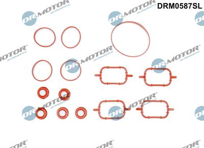 Gasket Set, intake manifold Dr.Motor Automotive DRM0587SL