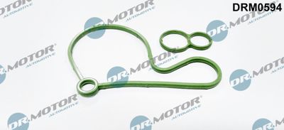 Gasket, vacuum pump Dr.Motor Automotive DRM0594