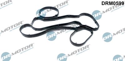 Gasket, oil filter housing Dr.Motor Automotive DRM0599