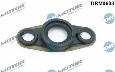 Seal Ring, injector Dr.Motor Automotive DRM0603