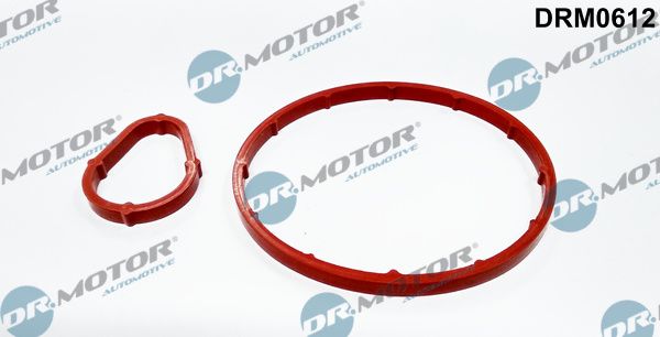 Dr.Motor Automotive DRM0612 Seal Set, vacuum pump