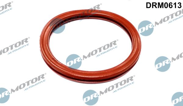 Dr.Motor Automotive DRM0613 Gasket, throttle body