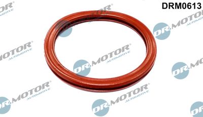 Gasket, throttle body Dr.Motor Automotive DRM0613