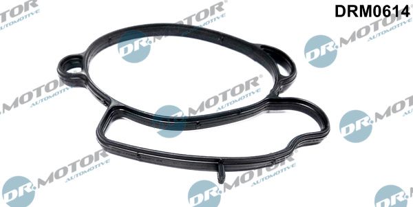 Dr.Motor Automotive DRM0614 Gasket, throttle body