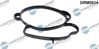 Gasket, throttle body Dr.Motor Automotive DRM0614