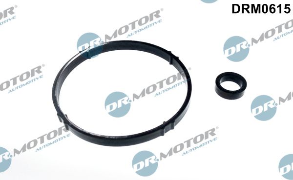 Dr.Motor Automotive DRM0615 Gasket Set, oil cooler