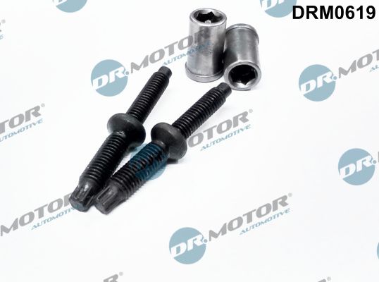 Dr.Motor Automotive DRM0619 Screw, injection nozzle holder