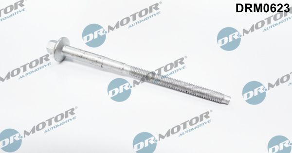 Dr.Motor Automotive DRM0623 Screw, injection nozzle holder