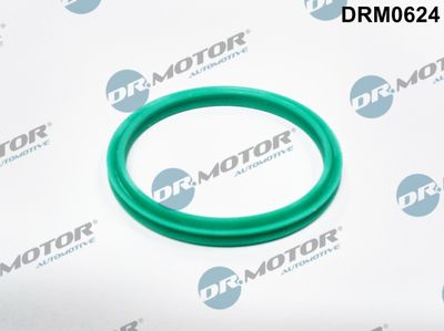 Seal Ring, charge air hose Dr.Motor Automotive DRM0624
