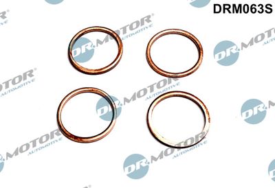 Seal Kit, injector nozzle Dr.Motor Automotive DRM063S