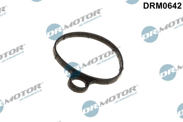 Dr.Motor Automotive DRM0642 Gasket, vacuum pump
