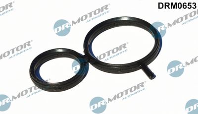 Seal, camshaft adjustment Dr.Motor Automotive DRM0653