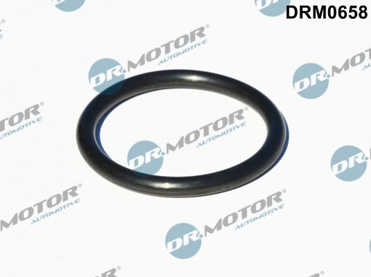 Dr.Motor Automotive DRM0658 Seal, turbine inlet (charger)
