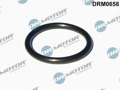 Seal, turbine inlet (charger) Dr.Motor Automotive DRM0658