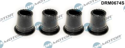 Seal, injector holder Dr.Motor Automotive DRM0674S