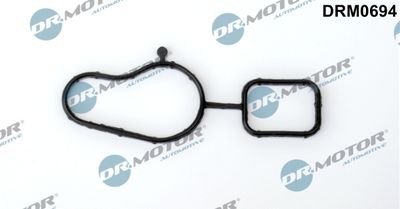 Gasket, water pump Dr.Motor Automotive DRM0694