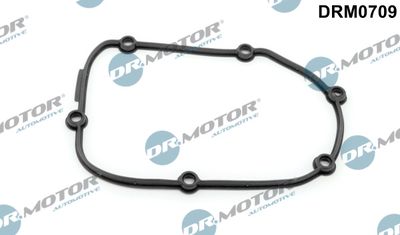 Gasket, timing case cover Dr.Motor Automotive DRM0709