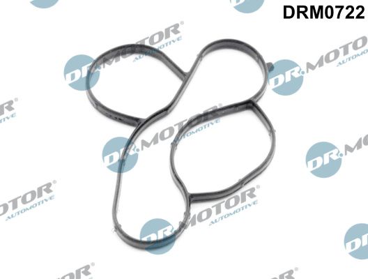 Dr.Motor Automotive DRM0722 Gasket, water pump