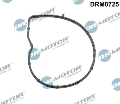 Gasket, water pump Dr.Motor Automotive DRM0725