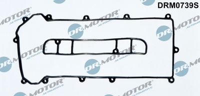Gasket, cylinder head cover Dr.Motor Automotive DRM0739S