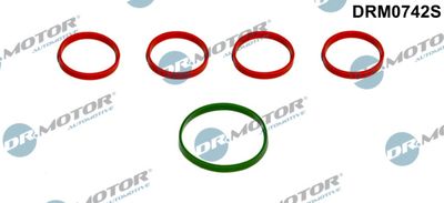 Gasket, intake manifold Dr.Motor Automotive DRM0742S