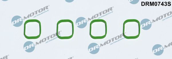 Dr.Motor Automotive DRM0743S Gasket, intake manifold