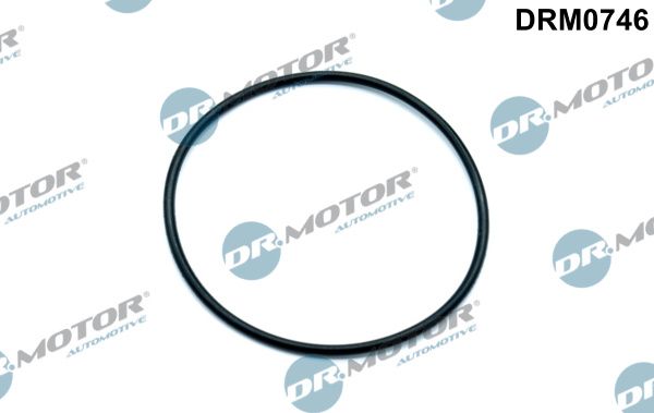 Dr.Motor Automotive DRM0746 Gasket, vacuum pump