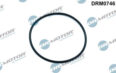 Gasket, vacuum pump Dr.Motor Automotive DRM0746