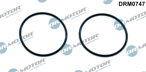 Dr.Motor Automotive DRM0747 Gasket, vacuum pump