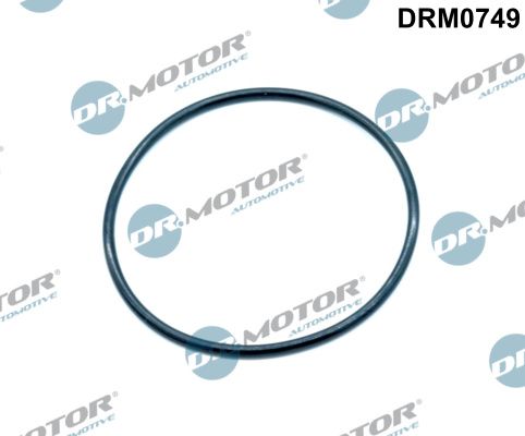 Dr.Motor Automotive DRM0749 Gasket, EGR valve