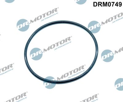 Gasket, EGR valve Dr.Motor Automotive DRM0749