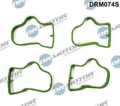 Gasket Set, intake manifold Dr.Motor Automotive DRM074S