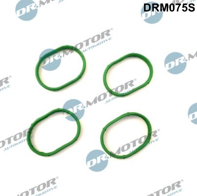Dr.Motor Automotive DRM075S Gasket Set, intake manifold