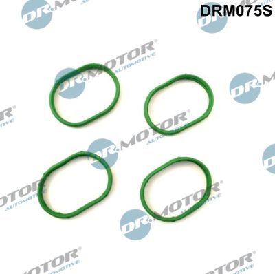 Gasket Set, intake manifold Dr.Motor Automotive DRM075S
