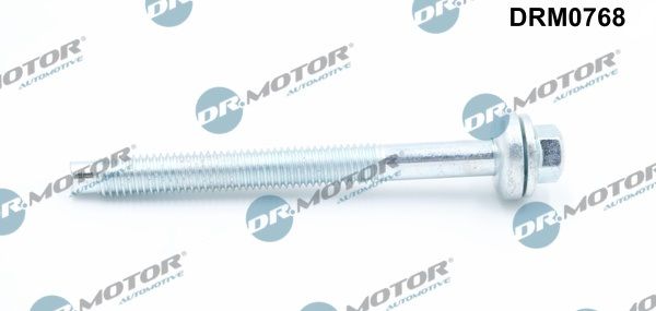 Dr.Motor Automotive DRM0768 Screw, injection nozzle holder