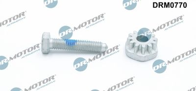 Tensioner Bolt, alternator mounting Dr.Motor Automotive DRM0770