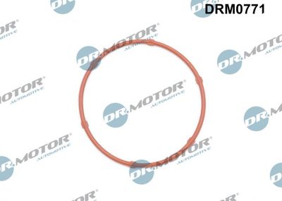 Gasket, oil pump Dr.Motor Automotive DRM0771