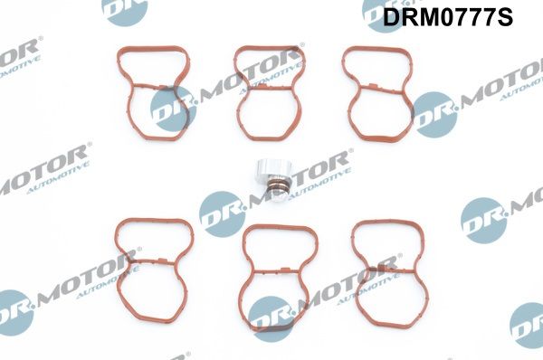 Dr.Motor Automotive DRM0777S Gasket Set, intake manifold