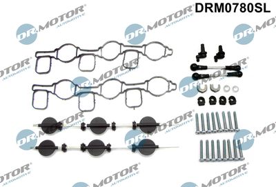Repair Kit, intake manifold module Dr.Motor Automotive DRM0780SL