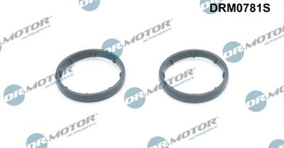 Gasket, oil cooler Dr.Motor Automotive DRM0781S