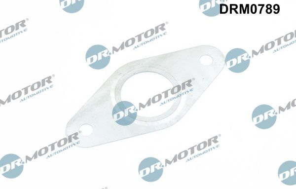 Dr.Motor Automotive DRM0789 Gasket, EGR valve pipe