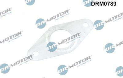 Gasket, EGR valve pipe Dr.Motor Automotive DRM0789
