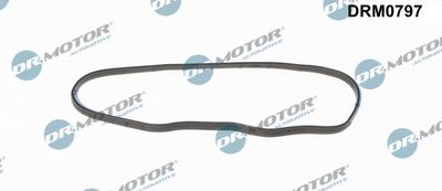 Gasket, timing case cover Dr.Motor Automotive DRM0797