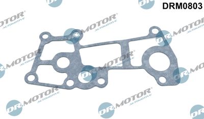 Gasket, coolant flange Dr.Motor Automotive DRM0803