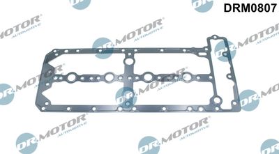 Gasket, cylinder head cover Dr.Motor Automotive DRM0807