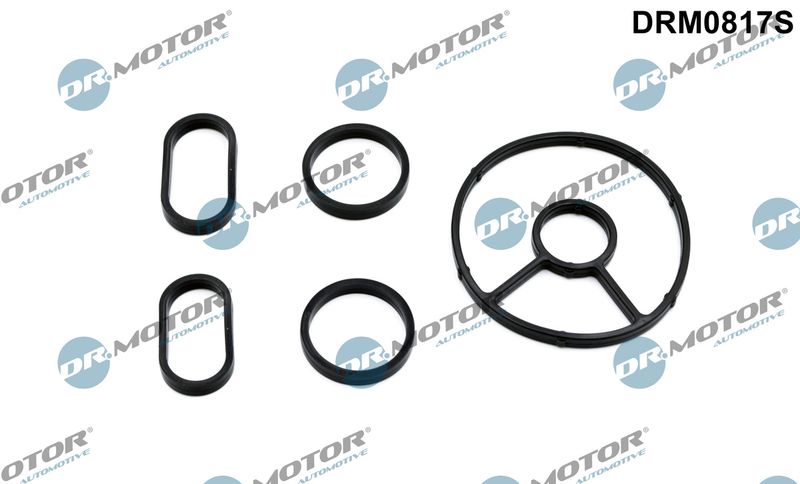 Dr.Motor Automotive DRM0817S Gasket Set, oil cooler