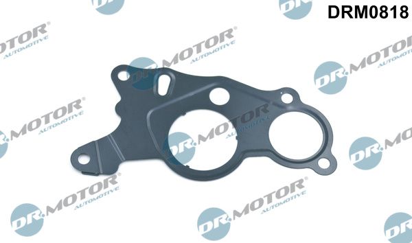 Dr.Motor Automotive DRM0818 Gasket, vacuum pump