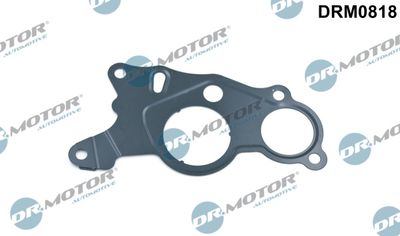 Gasket, vacuum pump Dr.Motor Automotive DRM0818